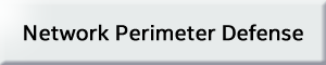 Network Perimeter Defense